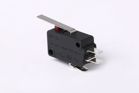 21 A empfindlicher Scharnier-Mikroschalter